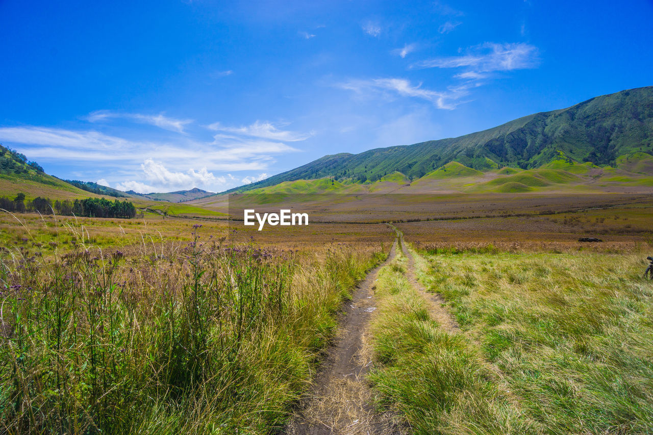 Road amidst field against sky