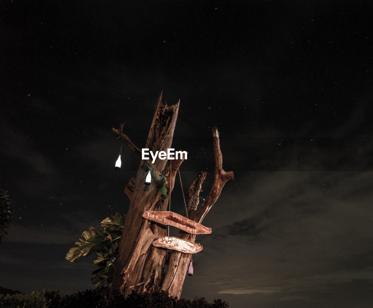 LOW ANGLE VIEW OF TREE AGAINST SKY