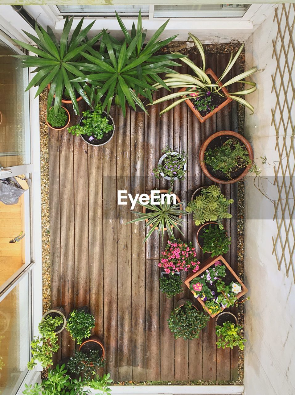 Aerial view of various plants on porch