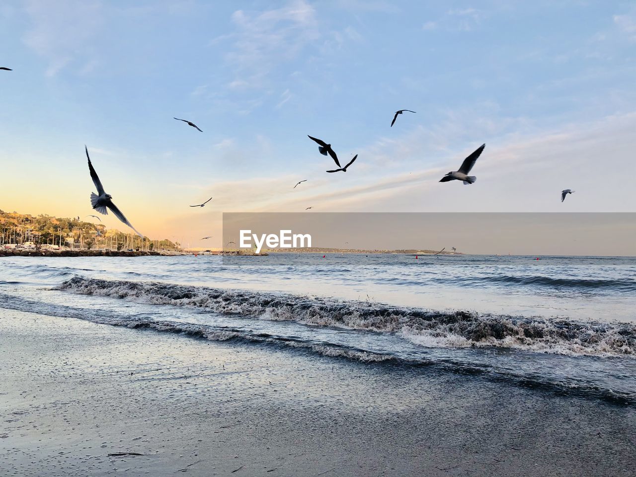 SEAGULLS FLYING OVER BEACH AGAINST SKY