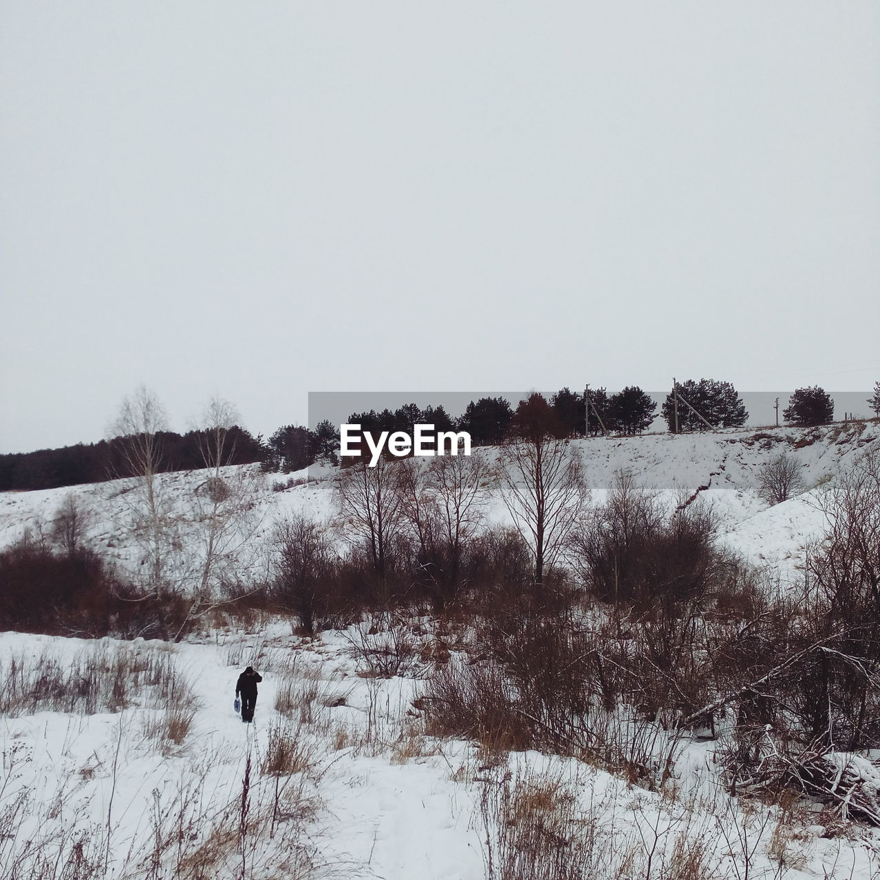 Scenic view of field against gray sky during winter