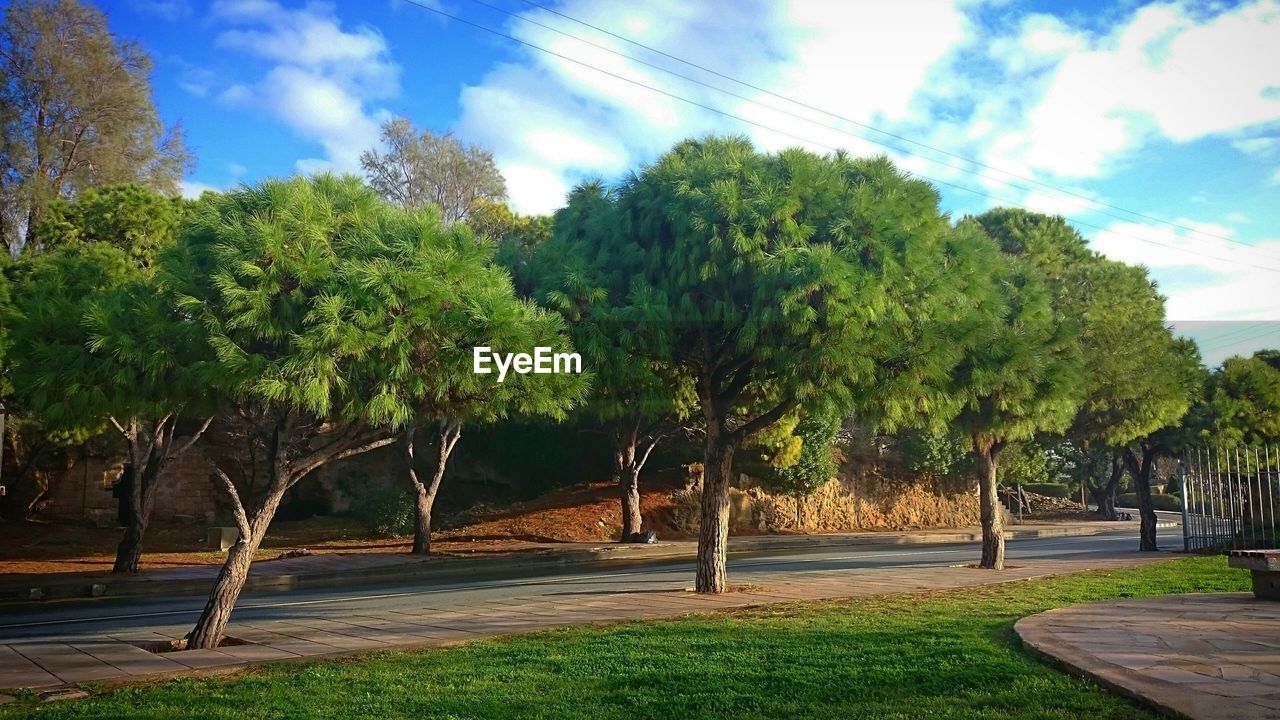 Empty road with trees in background