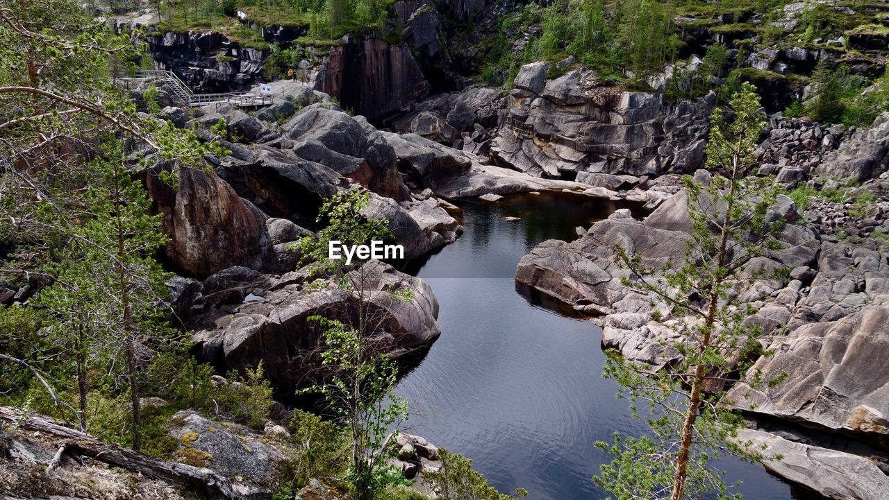 HIGH ANGLE VIEW OF ROCKS AND TREES