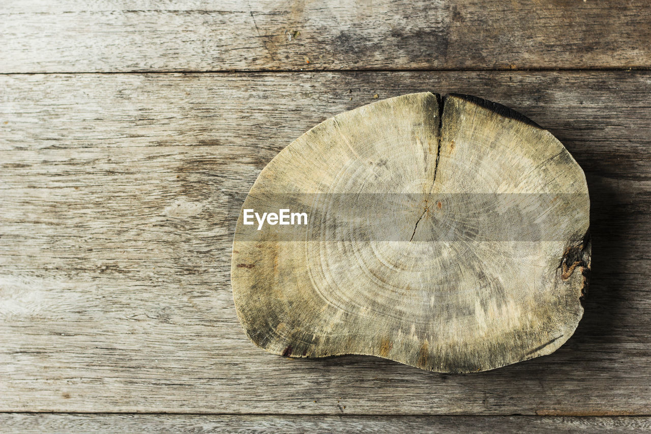 Directly above shot of tree ring on wooden table