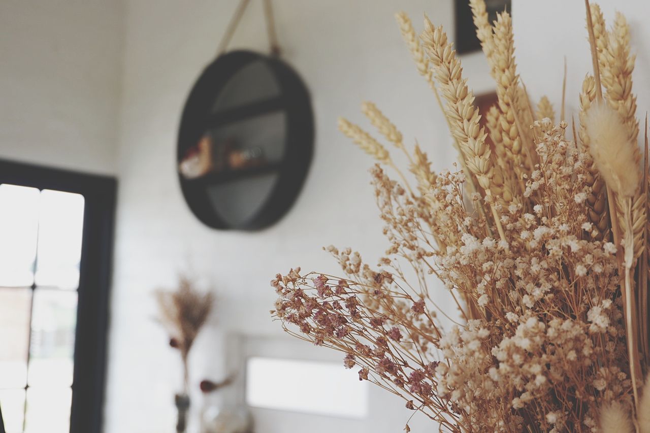 Close-up of dry flowers in vase at home