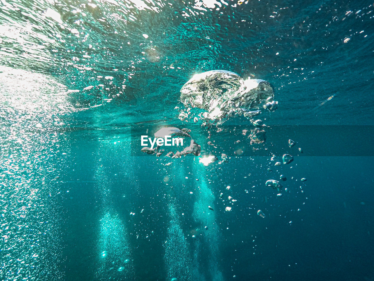 High angle view of swimming in sea