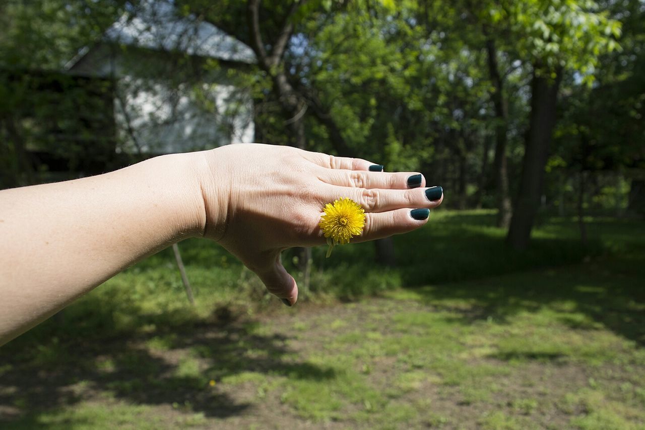 Cropped image of woman with yellow flower on finger