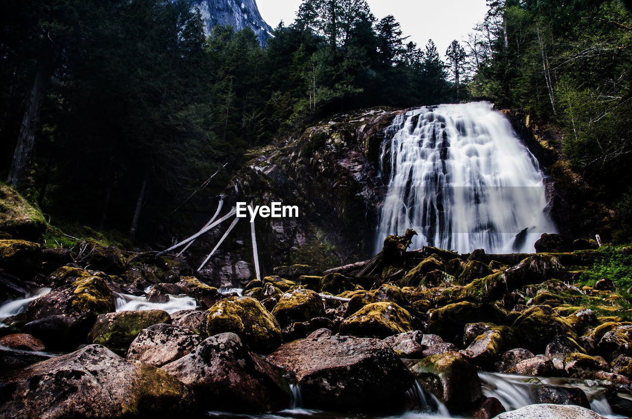 Waterfall at forest