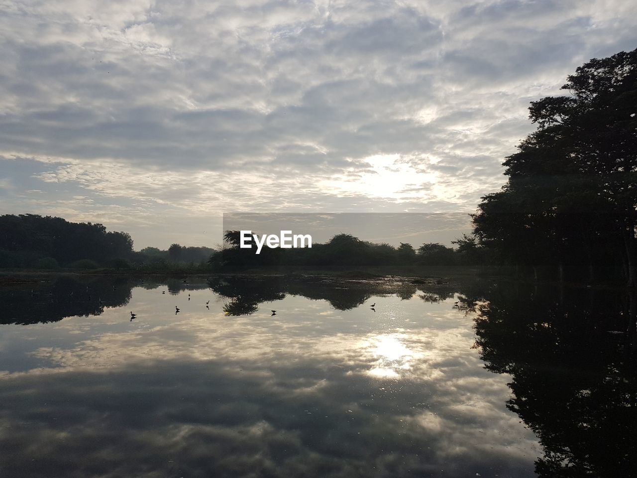 REFLECTION OF TREES IN LAKE AGAINST SKY