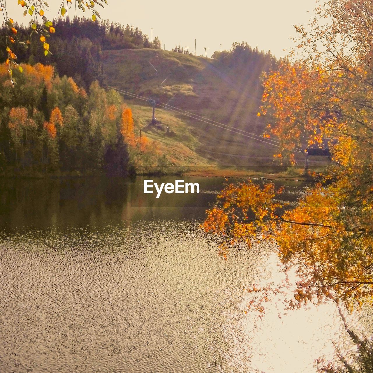 SCENIC VIEW OF LAKE BY TREES AGAINST SKY