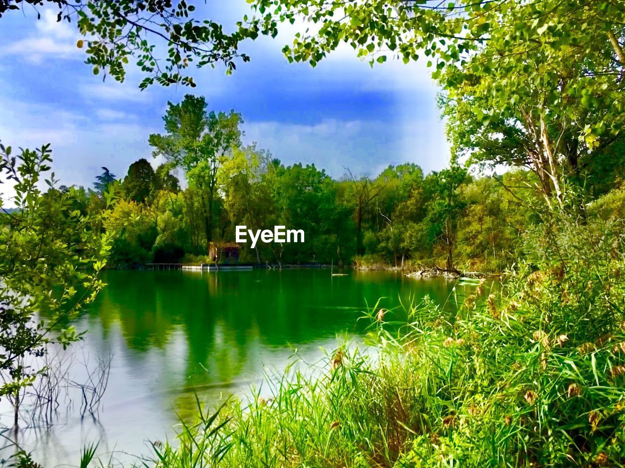 SCENIC VIEW OF LAKE AGAINST TREES