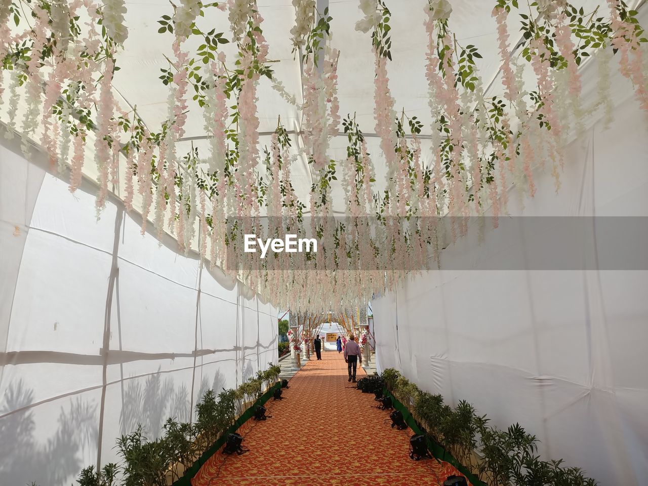 Rear view of people walking along plants