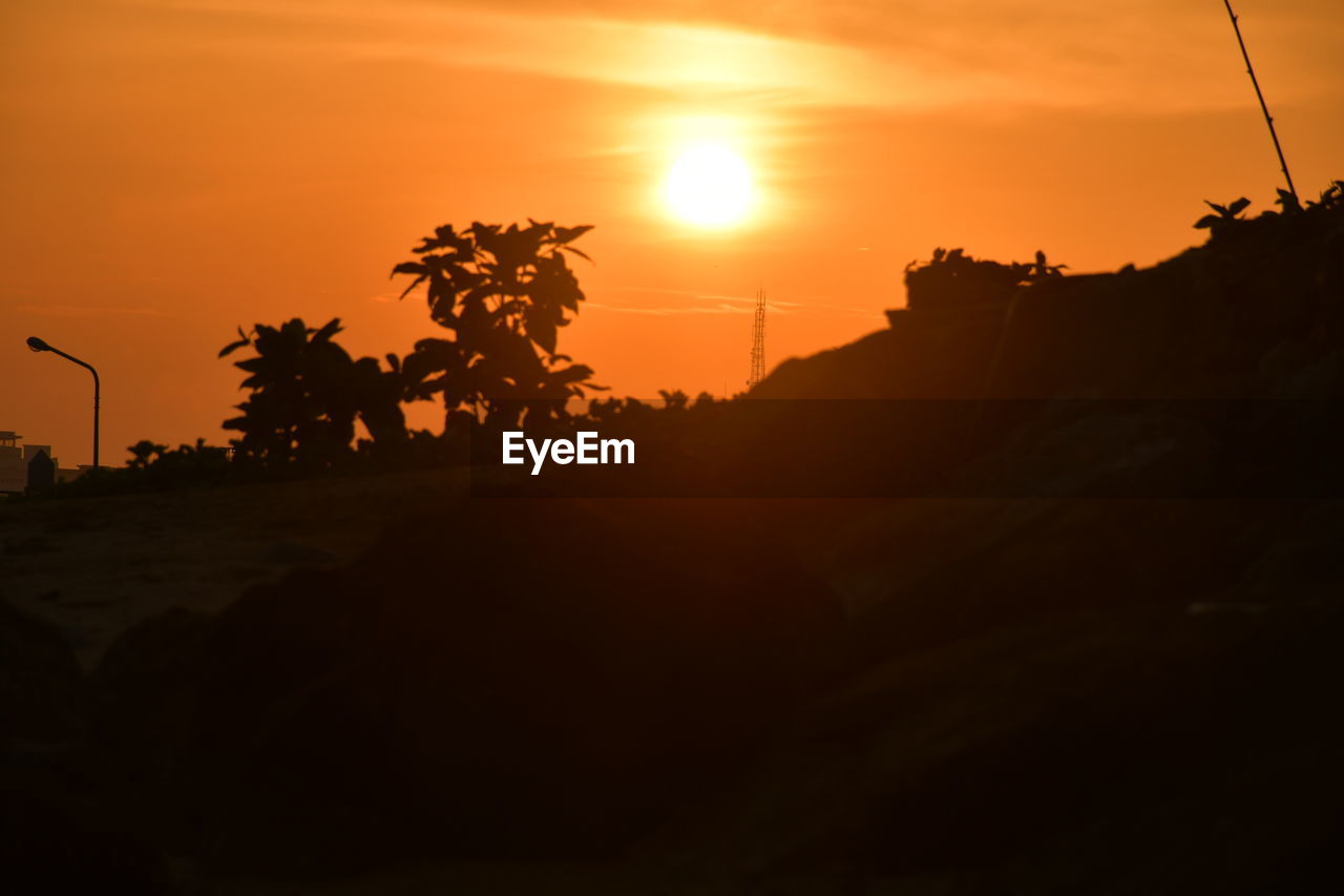 SILHOUETTE PALM TREES AGAINST ORANGE SKY