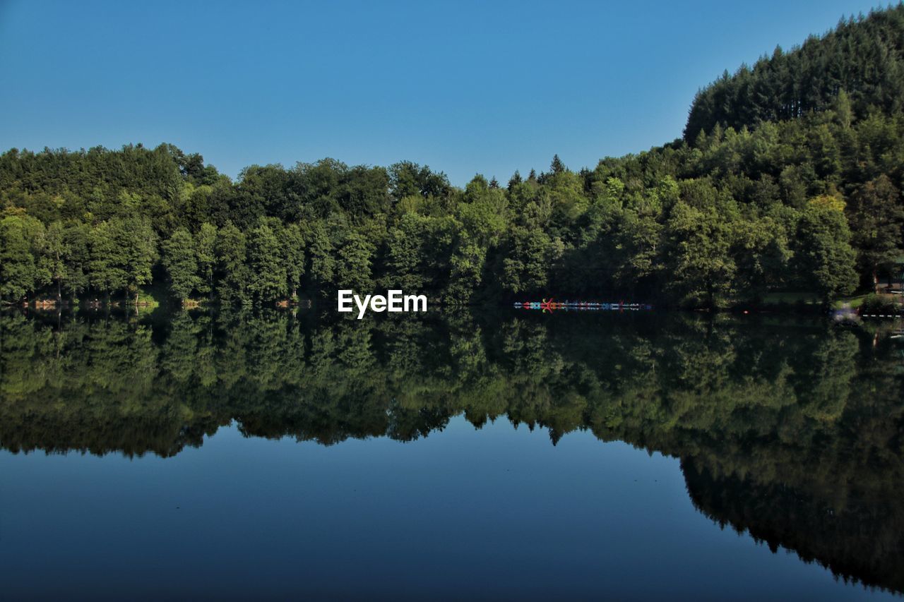 Scenic view of lake by trees against clear sky