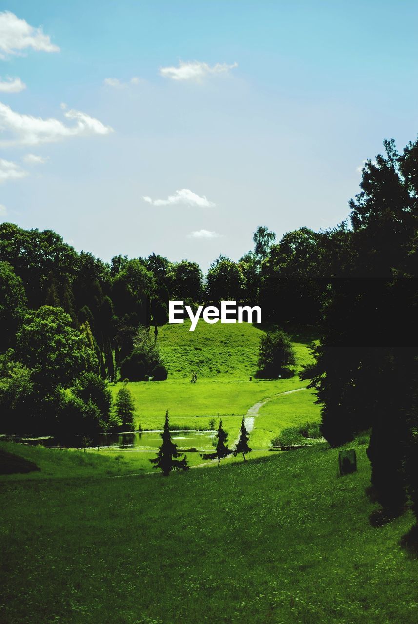 PEOPLE ON GRASSY FIELD AGAINST SKY