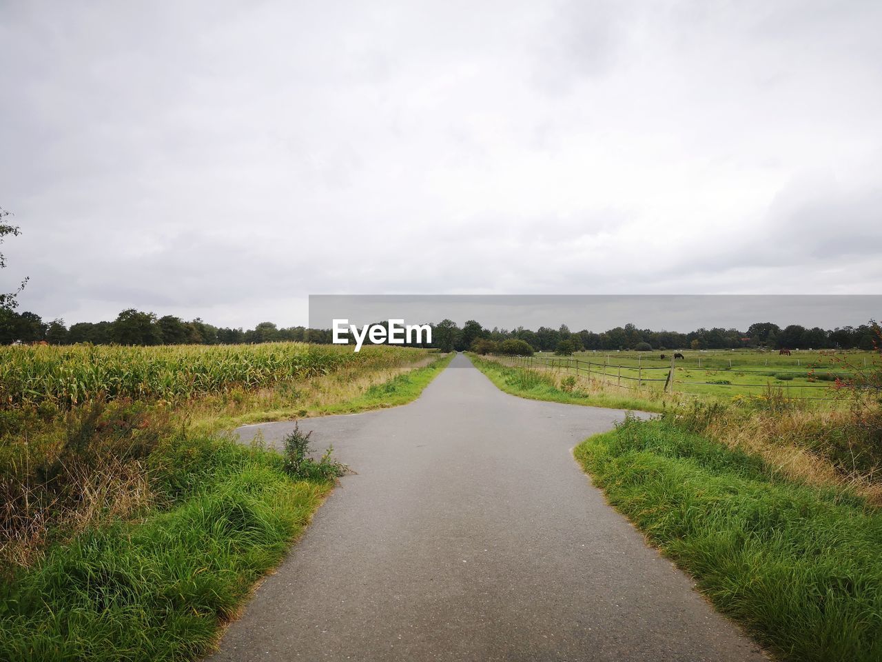 Empty road amidst field against sky