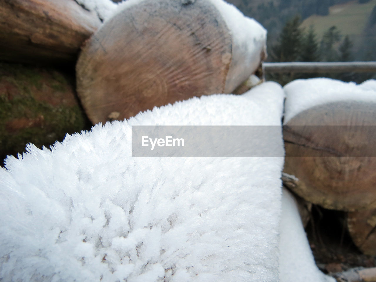 CLOSE-UP OF LOGS ON SNOW