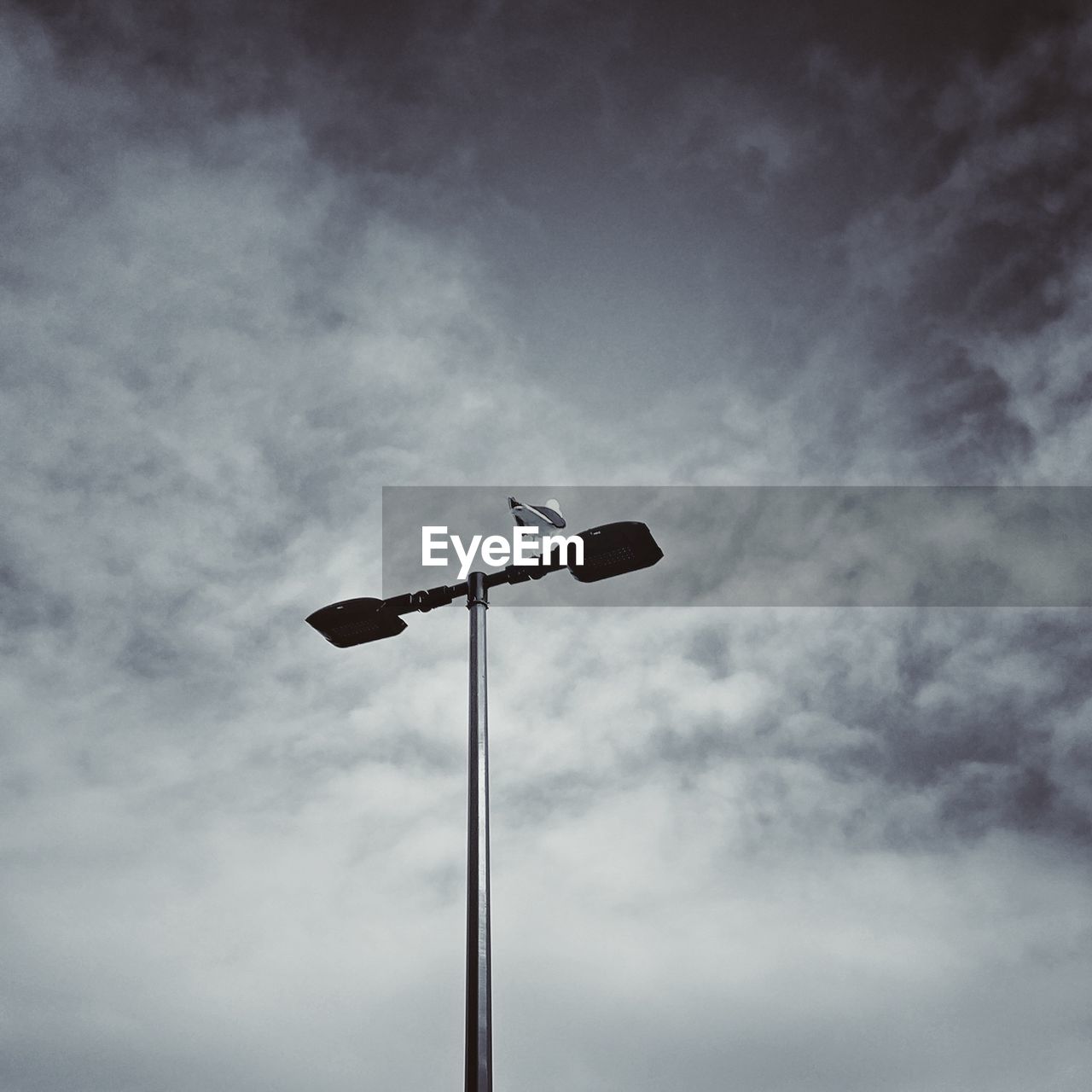 LOW ANGLE VIEW OF STREET LIGHTS AGAINST SKY