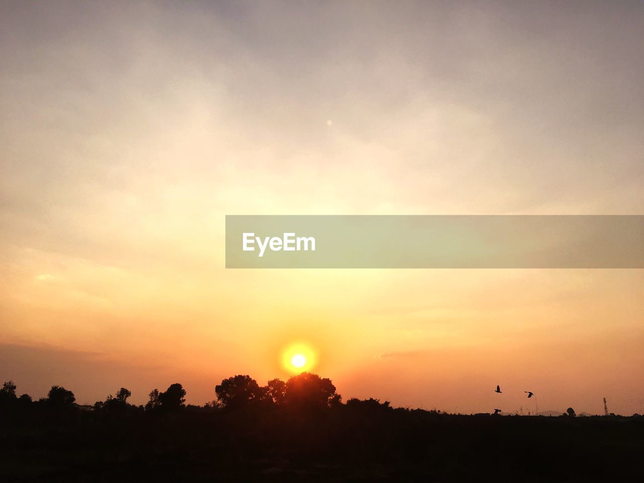 SCENIC VIEW OF SILHOUETTE FIELD AGAINST SKY AT SUNSET