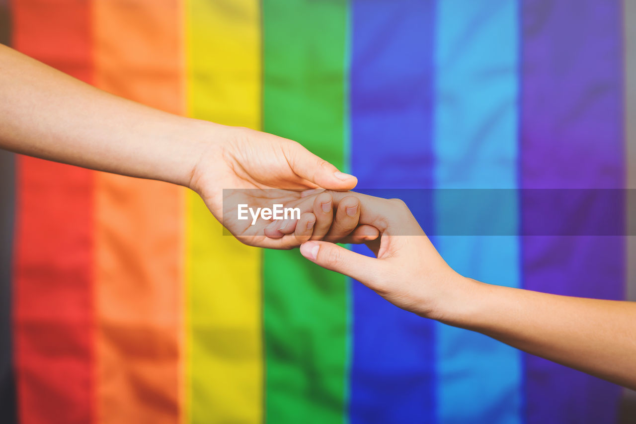 Lgbtq women hold hands with the lgbt flag in a blurred background.