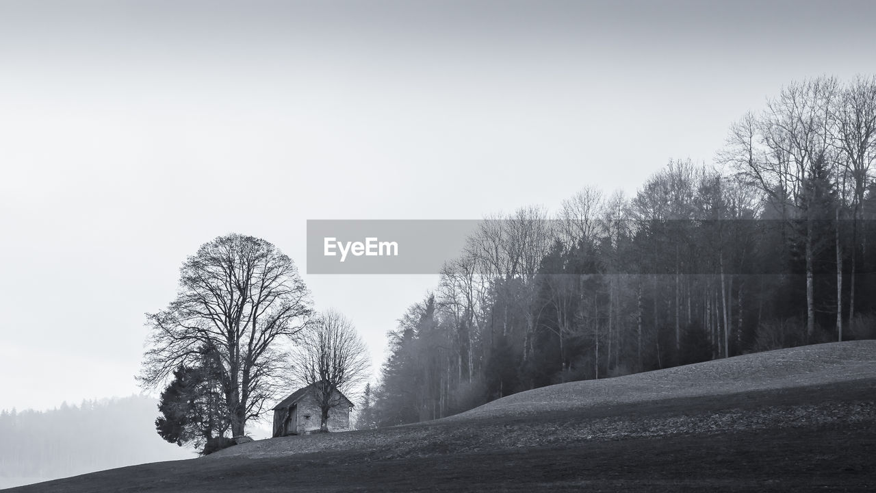 Trees on field against clear sky during winter