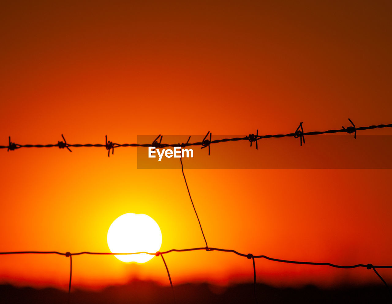 SILHOUETTE OF BARBED WIRE AGAINST ORANGE SKY