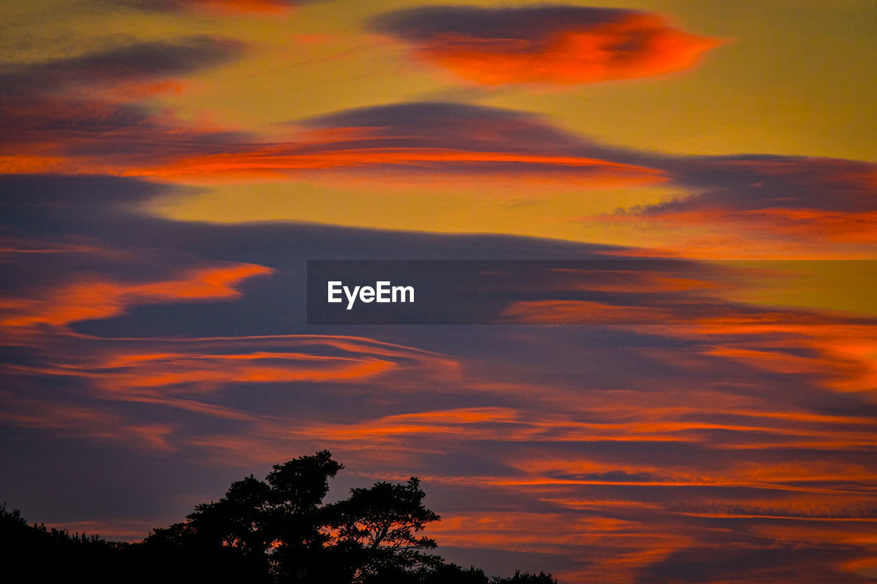 sky, cloud, sunset, beauty in nature, afterglow, tree, orange color, red sky at morning, nature, scenics - nature, tranquility, plant, no people, dramatic sky, silhouette, tranquil scene, dawn, evening, environment, horizon, idyllic, outdoors, landscape, non-urban scene, multi colored, land