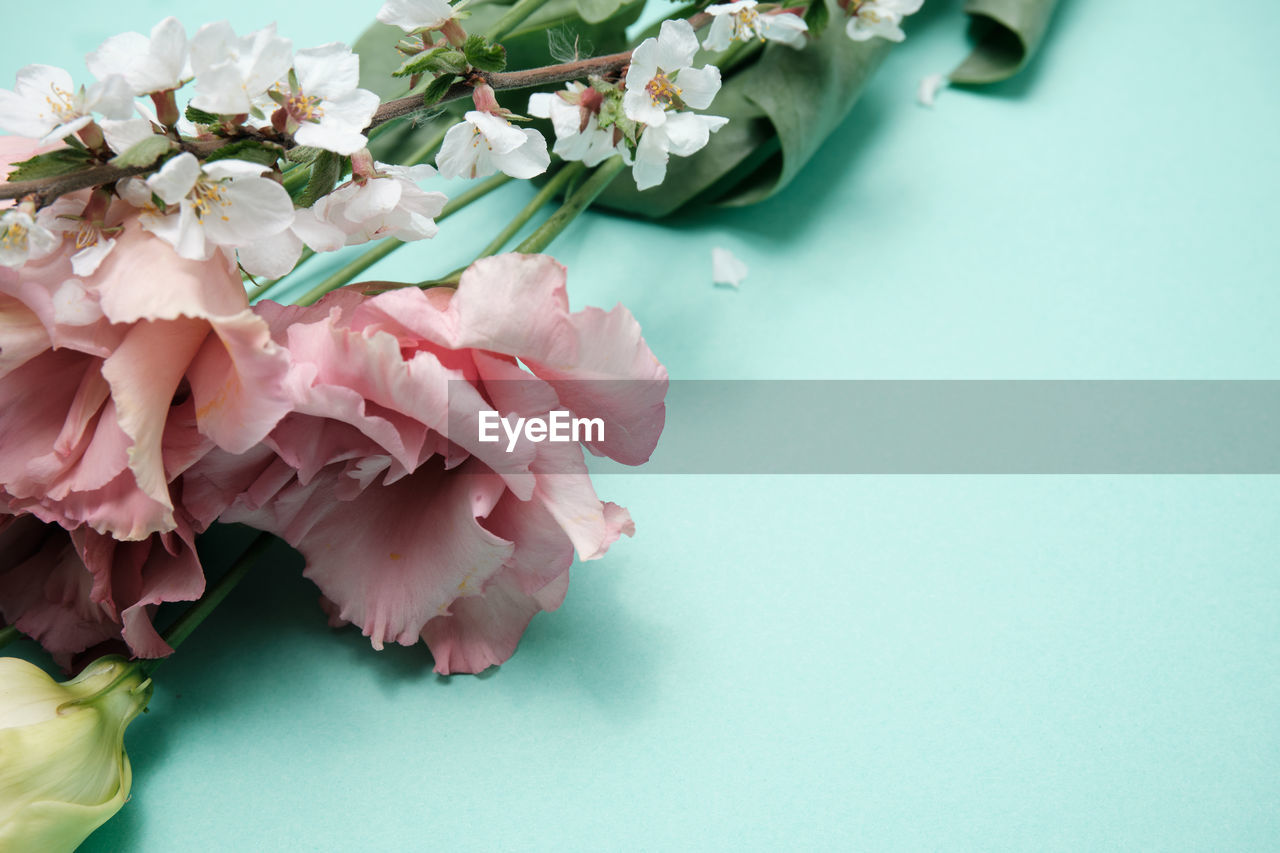 CLOSE-UP OF PINK ROSE FLOWER ON TABLE