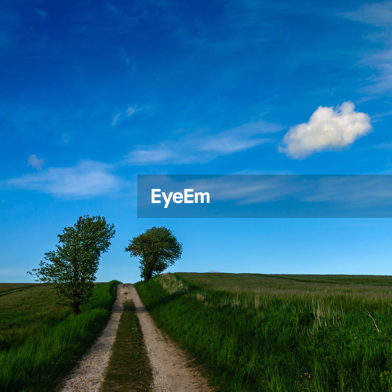 sky, landscape, horizon, plant, environment, field, cloud, grass, land, nature, blue, the way forward, grassland, rural scene, road, hill, scenics - nature, prairie, beauty in nature, plain, tree, rural area, meadow, dirt road, footpath, dirt, diminishing perspective, agriculture, tranquility, no people, green, horizon over land, vanishing point, tranquil scene, outdoors, non-urban scene, natural environment, growth, transportation, cereal plant, crop, day, farm, summer, sunlight, travel, single lane road, idyllic, cloudscape, morning