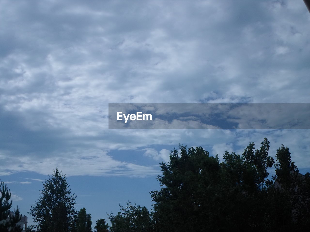 LOW ANGLE VIEW OF TREES AGAINST CLOUDS