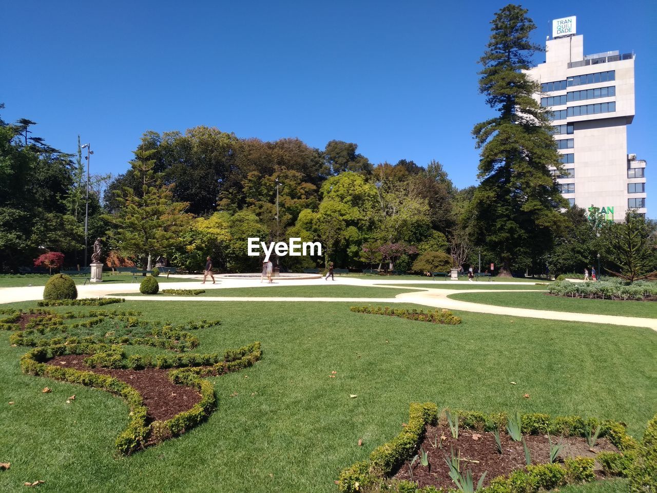 TREES IN PARK AGAINST SKY