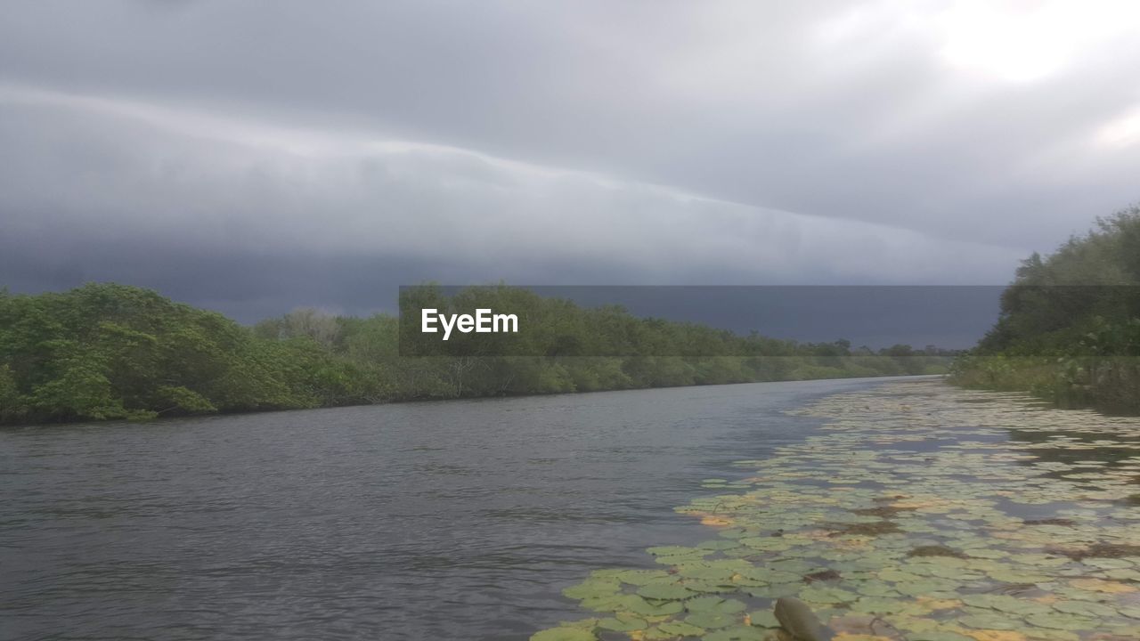 RIVER AMIDST TREES AGAINST SKY