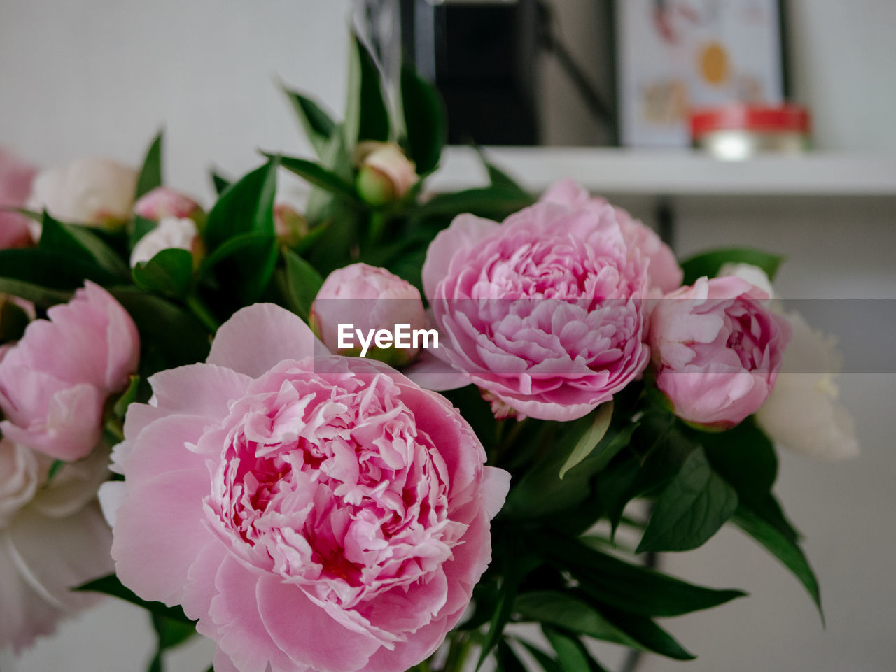 Close-up of pink peonies bouquet