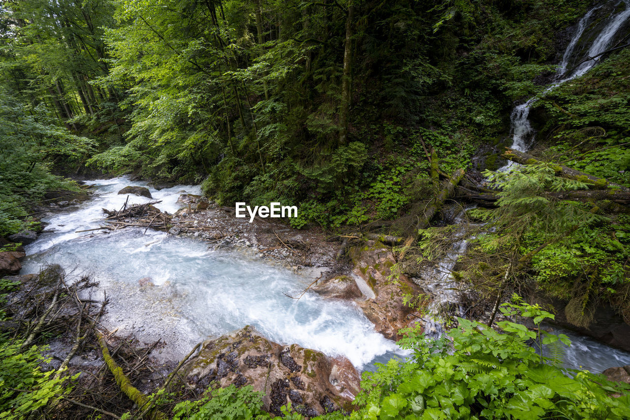 Stream flowing through rocks in forest at wimbachklamm, germany. 