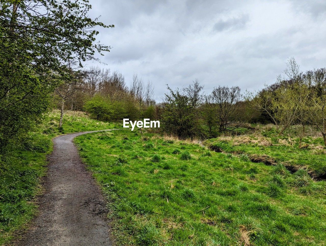 plant, grass, tree, cloud, sky, rural area, nature, land, hill, environment, landscape, no people, meadow, green, beauty in nature, natural environment, footpath, scenics - nature, trail, soil, forest, tranquility, growth, woodland, non-urban scene, the way forward, day, road, tranquil scene, outdoors, wilderness, vegetation, field, ridge, shrub, travel, dirt, dirt road, overcast