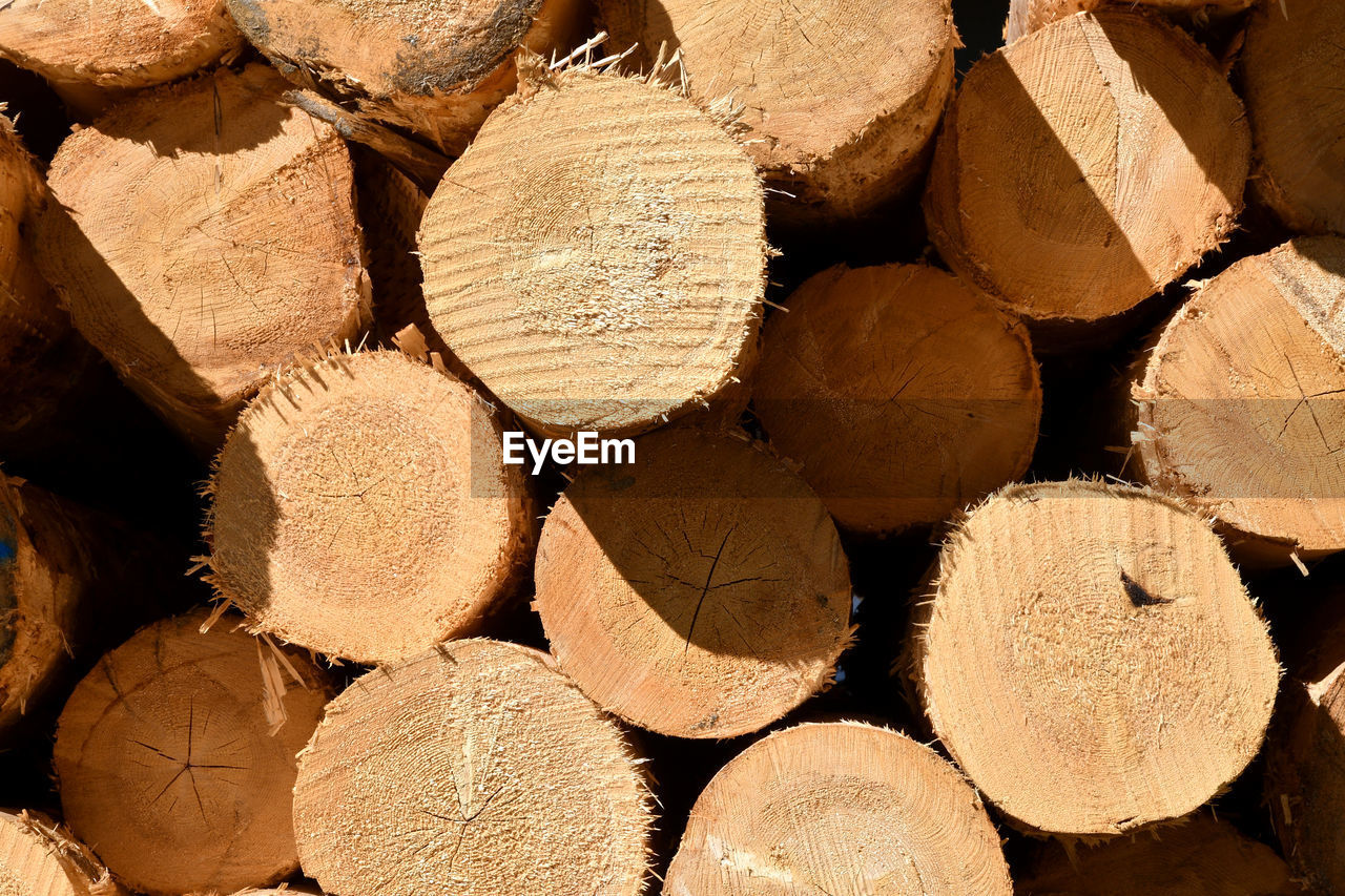 FULL FRAME SHOT OF FIREWOOD IN FOREST