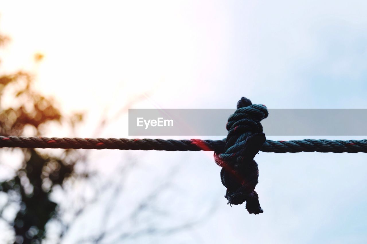 Low angle view of rope against sky