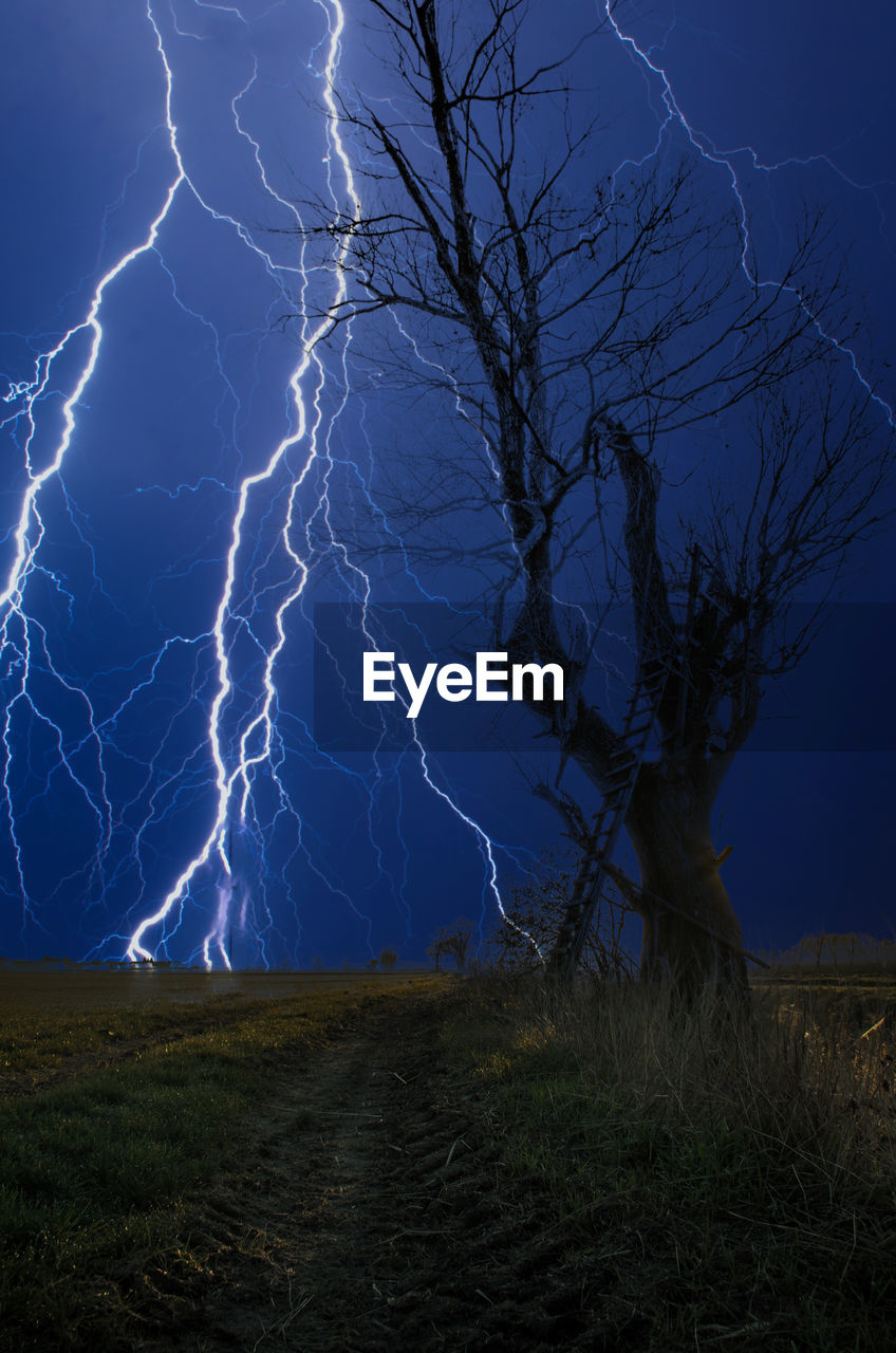 BARE TREE ON LAND AGAINST SKY AT NIGHT