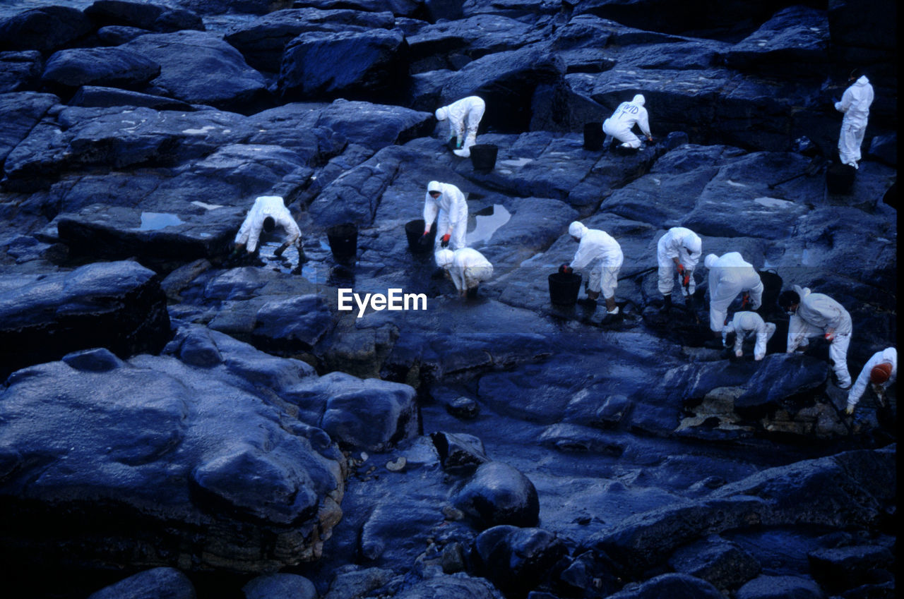 VIEW OF BIRDS IN WATER