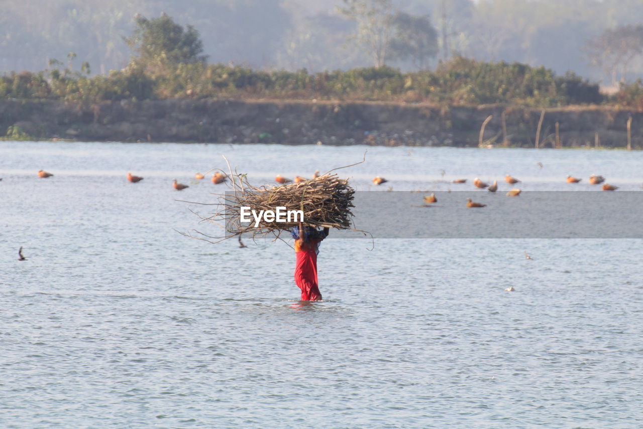 Woman carrying stick on head while walking in river