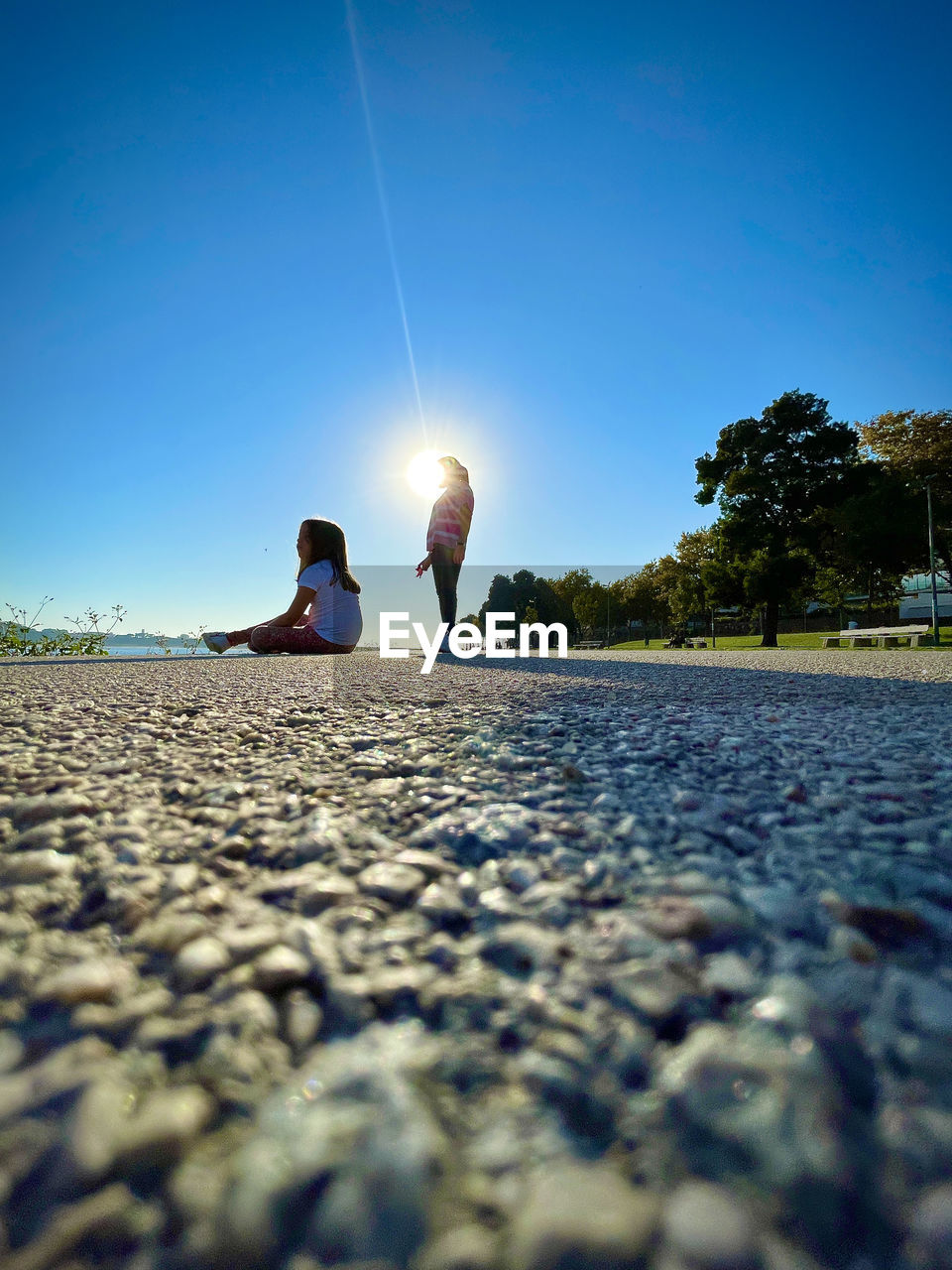 sky, sunlight, sea, horizon, nature, adult, two people, surface level, blue, men, women, togetherness, clear sky, water, land, morning, tree, leisure activity, beach, reflection, lifestyles, day, summer, ocean, outdoors, plant, bonding, female, emotion, copy space, shore, relaxation, full length, child, sunny, positive emotion, sitting, selective focus, coast, beauty in nature, holiday, friendship, vacation, trip