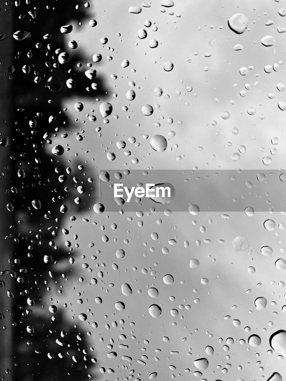 Full frame shot of wet glass window