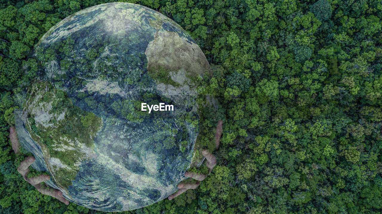 Aerial top view green forest with earth, green planet in your hands, save earth.