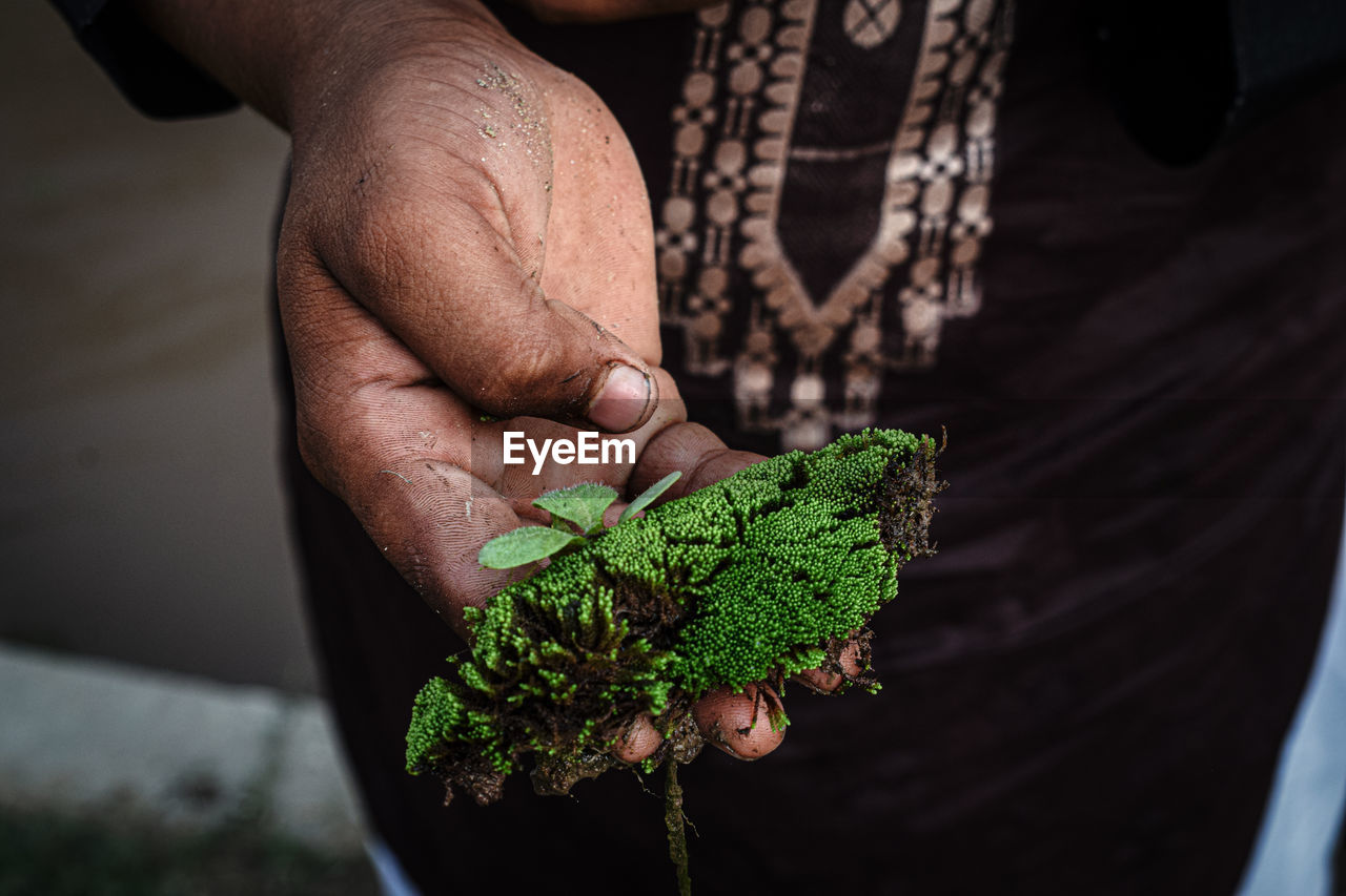 Midsection of man holding plant