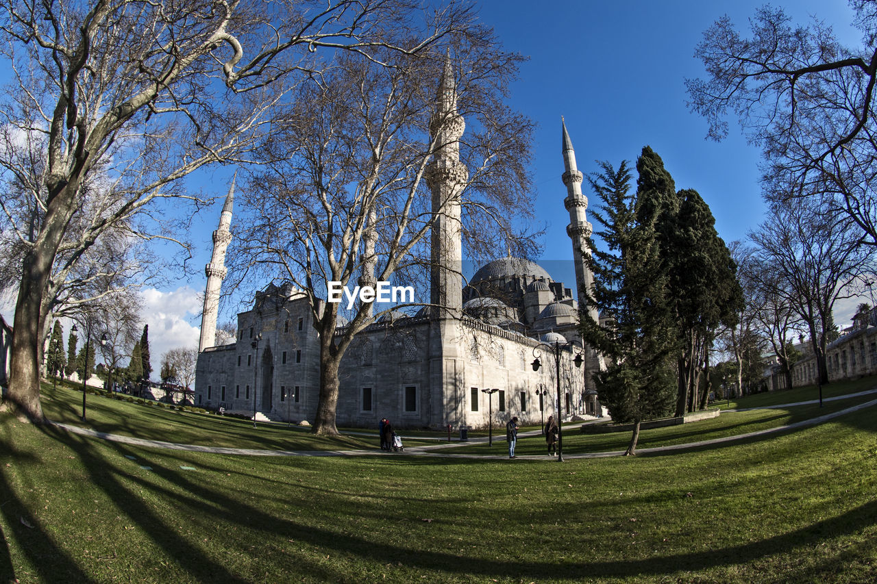 Trees by suleymaniye mosque against sky