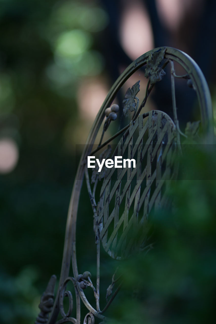 Metallic chair by plant in back yard