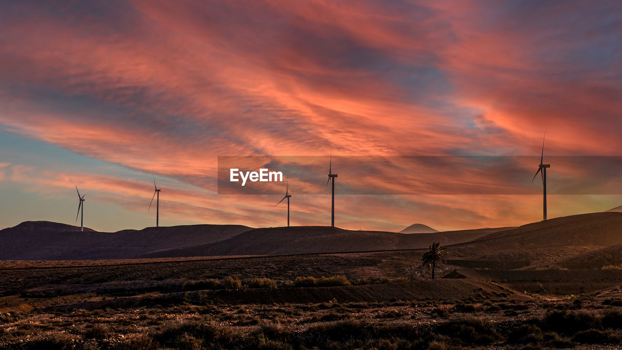 Scenic view of field against sky during sunset