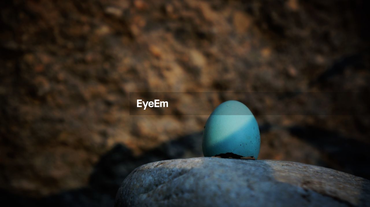 Blue eggshell on rock