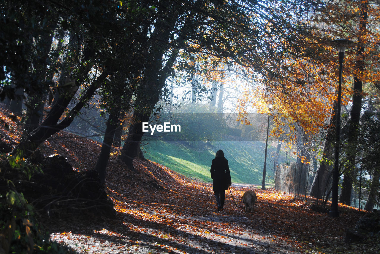 Rear view of woman with dog walking in forest during autumn