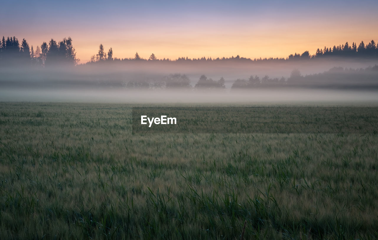 Scenic view of field against sky during sunset